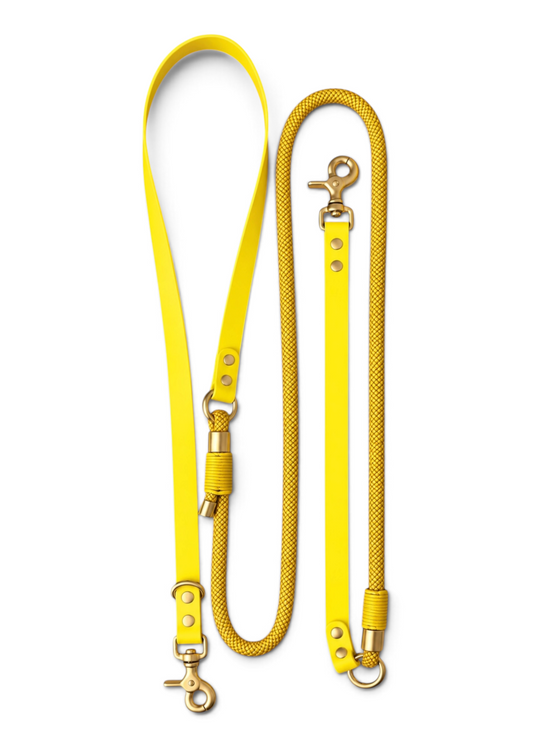 Laisse multi-positions pour chien en Biothane et paracorde jaune or doré Goldy Mama par la marque française PLI Paris.