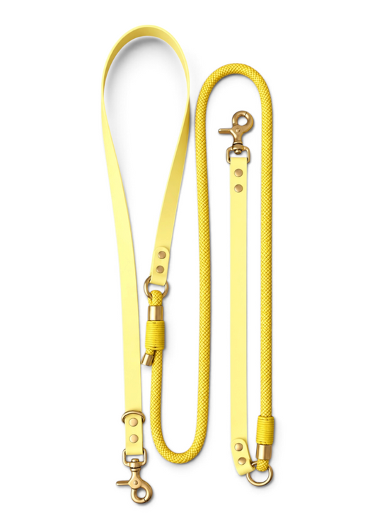 Laisse multi-positions pour chien en Biothane et paracorde jaune pastel Lemon Twist par la marque française PLI Paris.