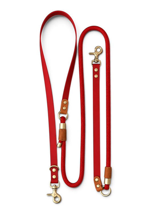 Laisse multi-positions pour chien en Biothane et paracorde et rouge et marron Monaco par la marque française PLI Paris.