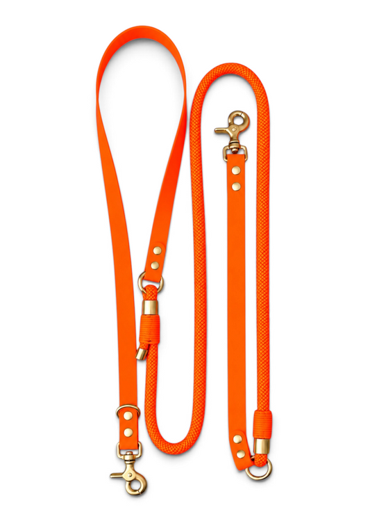 Laisse multi-positions pour chien en Biothane et paracorde orange néon Orange Mécanique par la marque française PLI Paris.