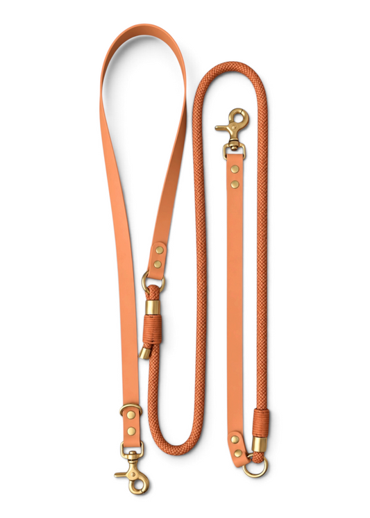 Laisse multi-positions pour chien en Biothane et paracorde marron clair pêche Peach Please par la marque française PLI Paris.