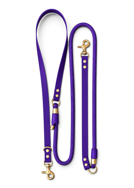 Laisse multi-positions pour chien en Biothane et paracorde violet Purple Rain par la marque française PLI Paris.
