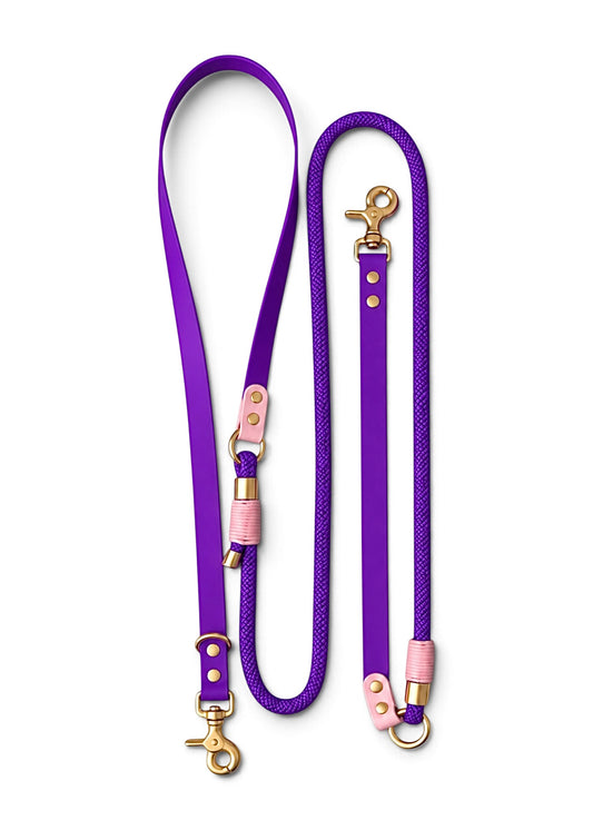 Laisse multi-positions pour chien en Biothane et paracorde violet et rose Tokyo par la marque française PLI Paris.
