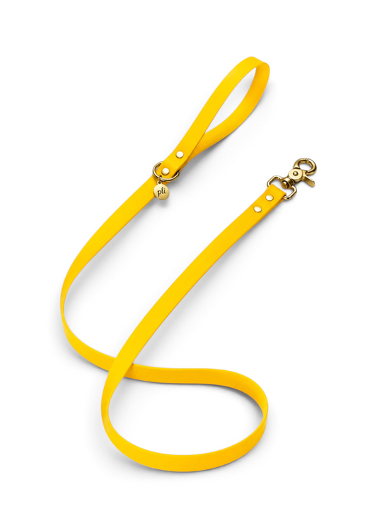Laisse en biothane Goldy Mama de 1m60 fait main par PLI Paris