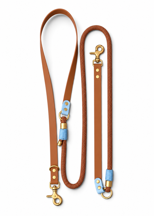 Laisse multi-positions pour chien en Biothane et paracorde marron et bleue Iced Cookiepar la marque française PLI Paris.