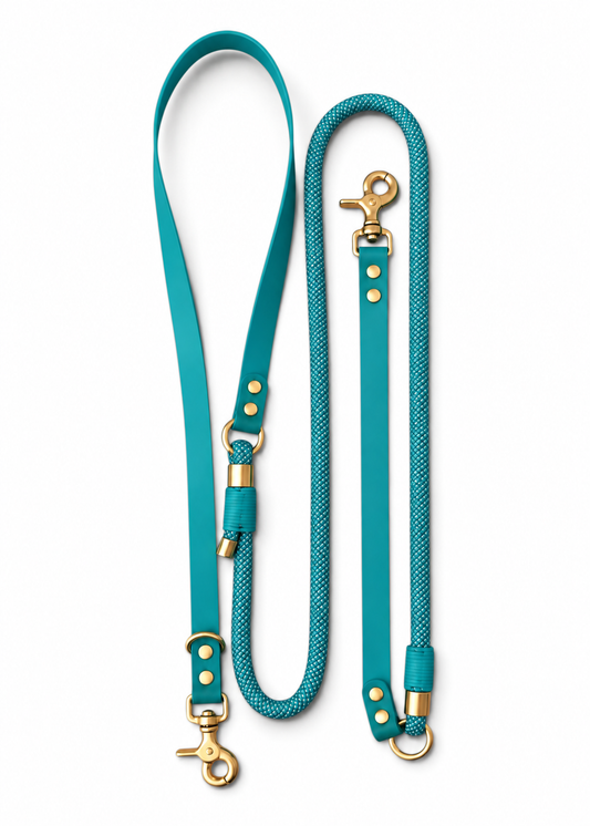 Laisse multi-positions pour chien en Biothane et paracorde vert bleu turquoise Lagoon Lover par la marque française PLI Paris.