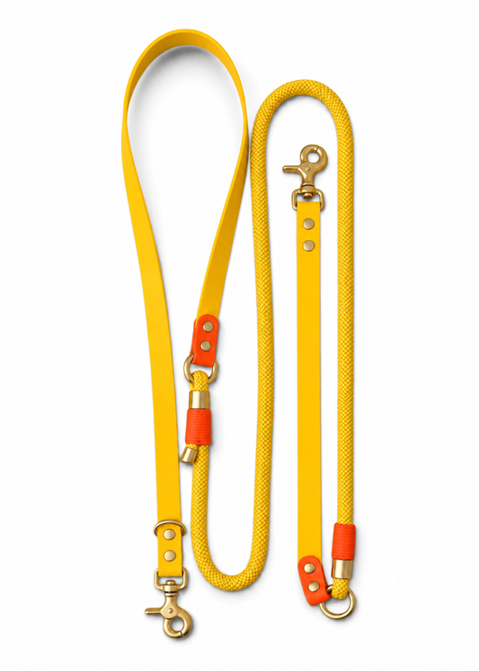 Laisse multi-positions pour chien en Biothane et paracorde jaune et orange Miami par la marque française PLI Paris.