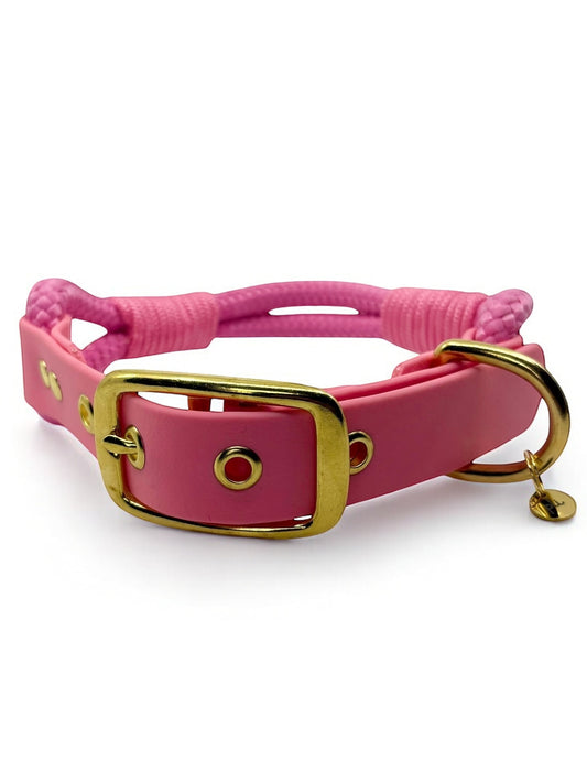 PLI PARIS collier en corde et biothane