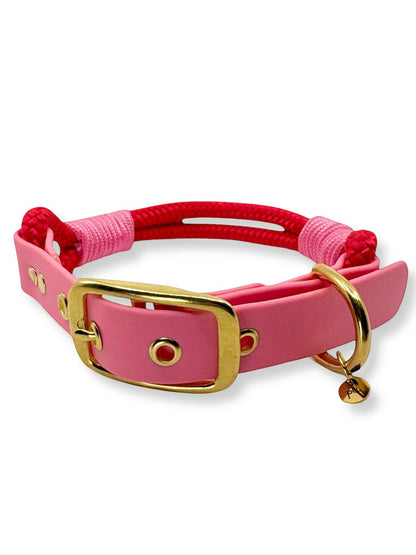 PLI PARIS collier en corde et biothane