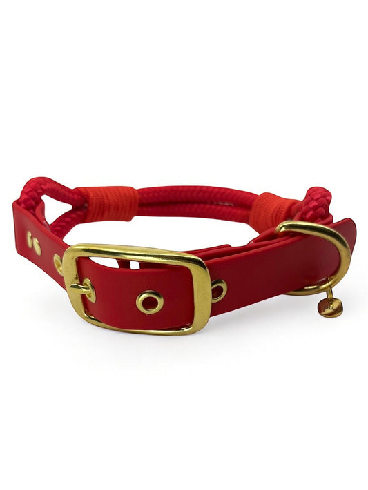 PLI PARIS collier en corde et biothane