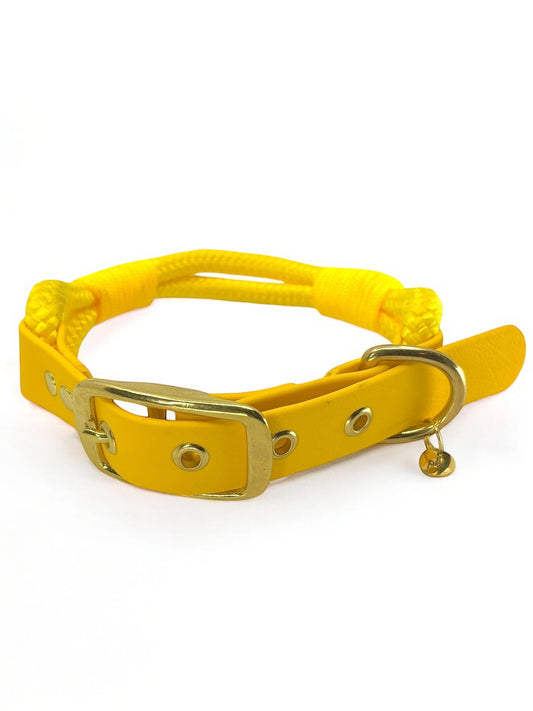 PLI PARIS collier en corde et biothane