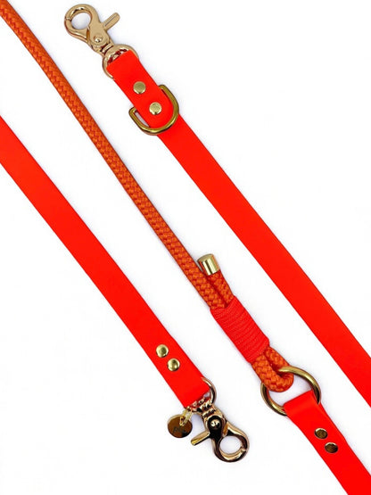 PLI PARIS laisse multi-positions en corde et biothane 