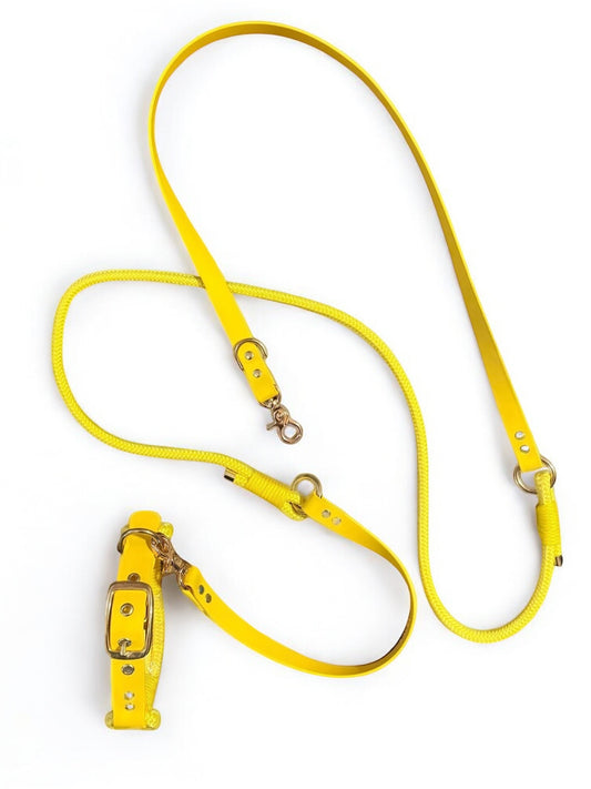 Set Jaune