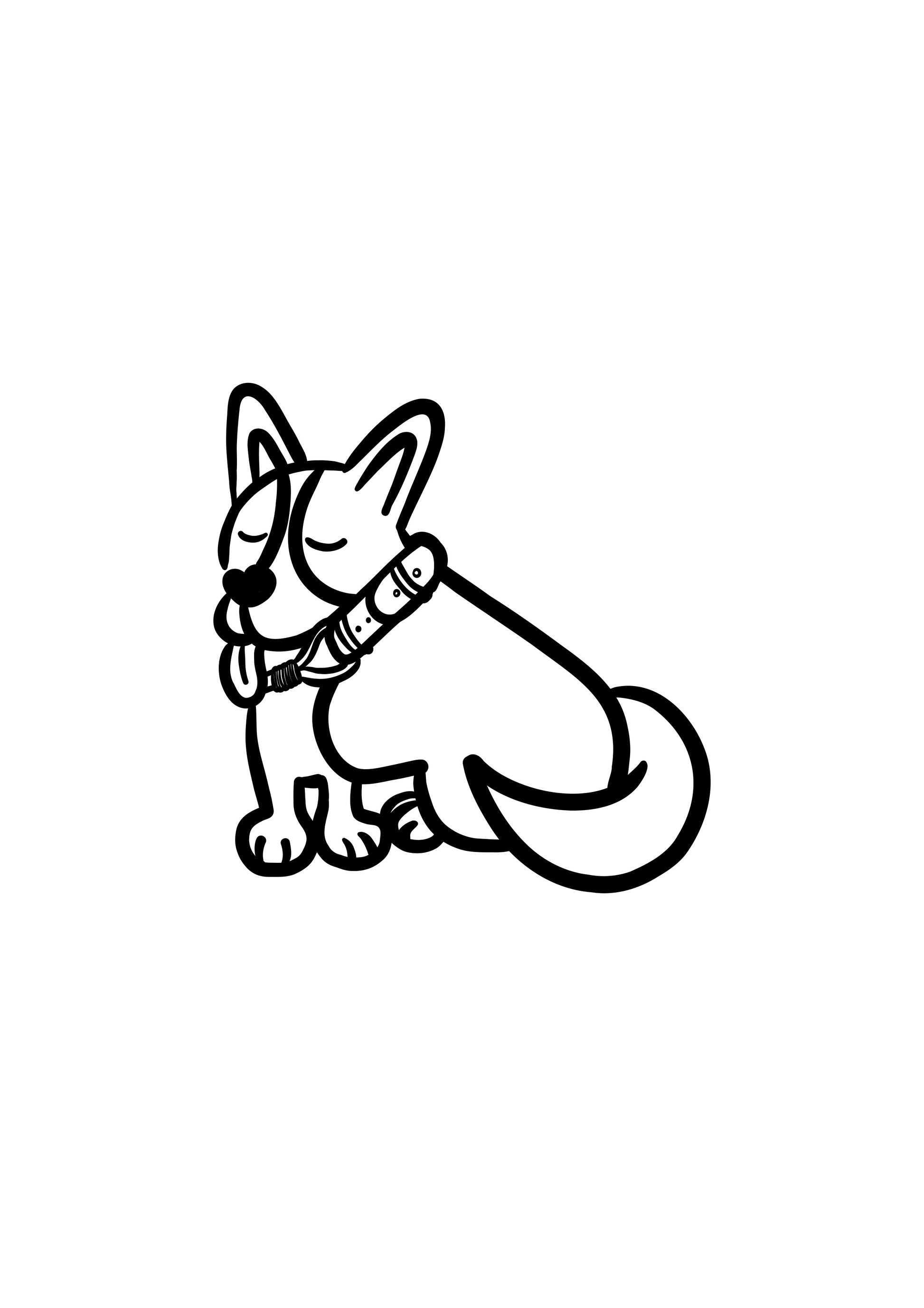 Pli paris accessoires pour chien collier en corde et biothane 