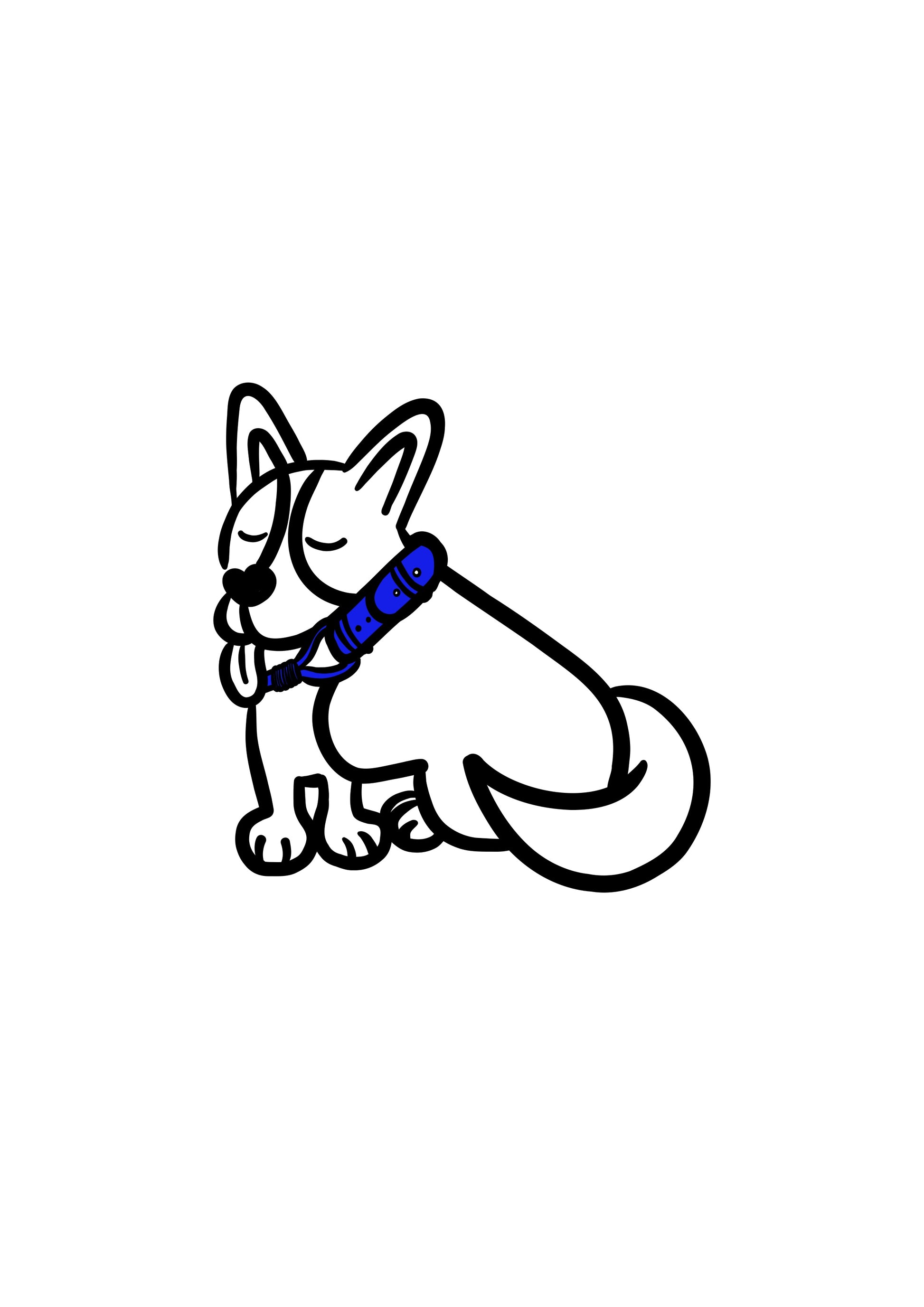Pli paris accessoires pour chien collier en corde et biothane 