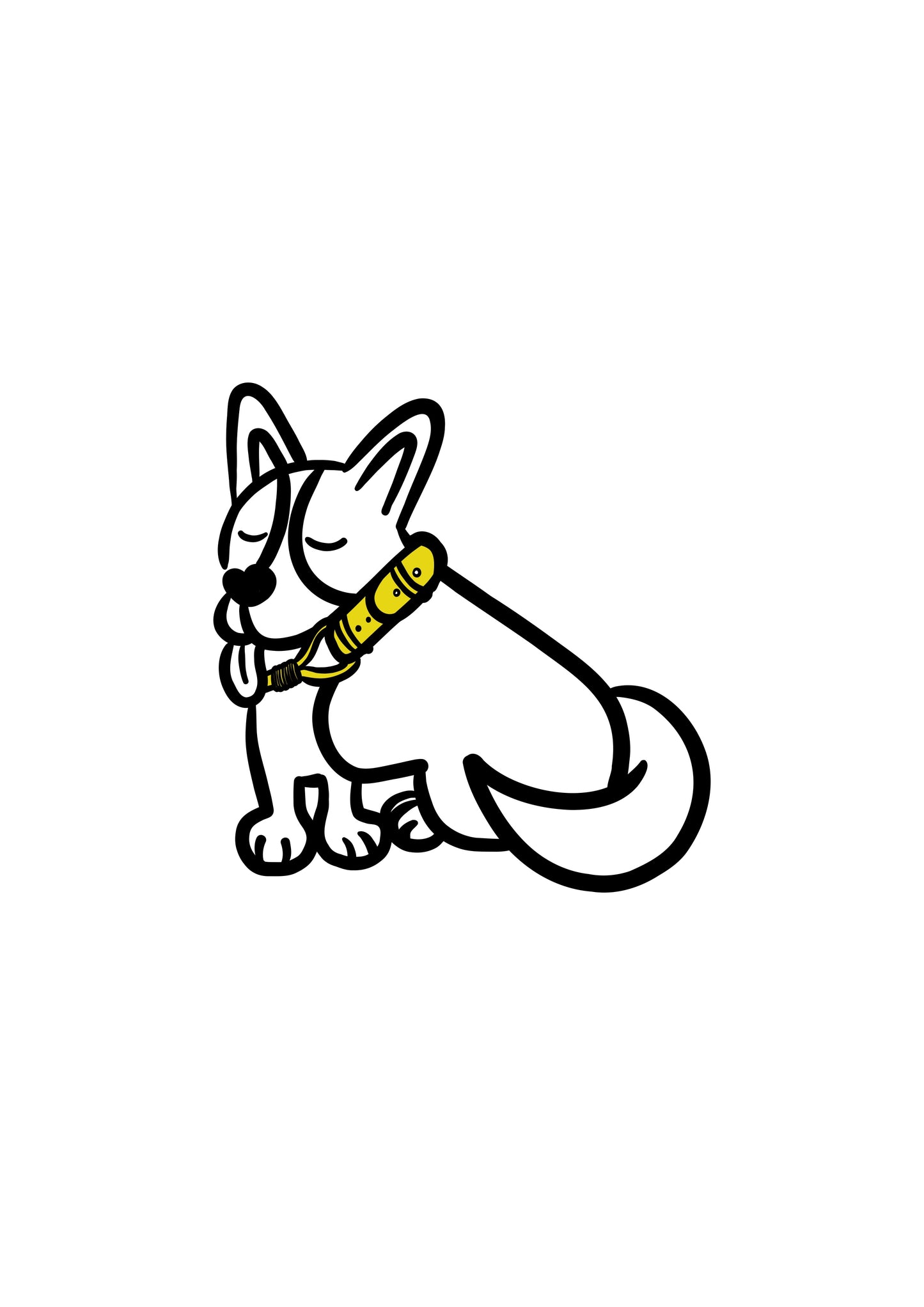 Pli paris accessoires pour chien collier en corde et biothane 
