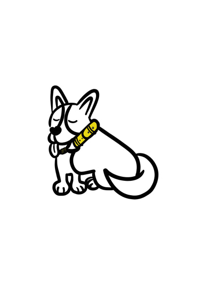 Pli paris accessoires pour chien collier en corde et biothane 