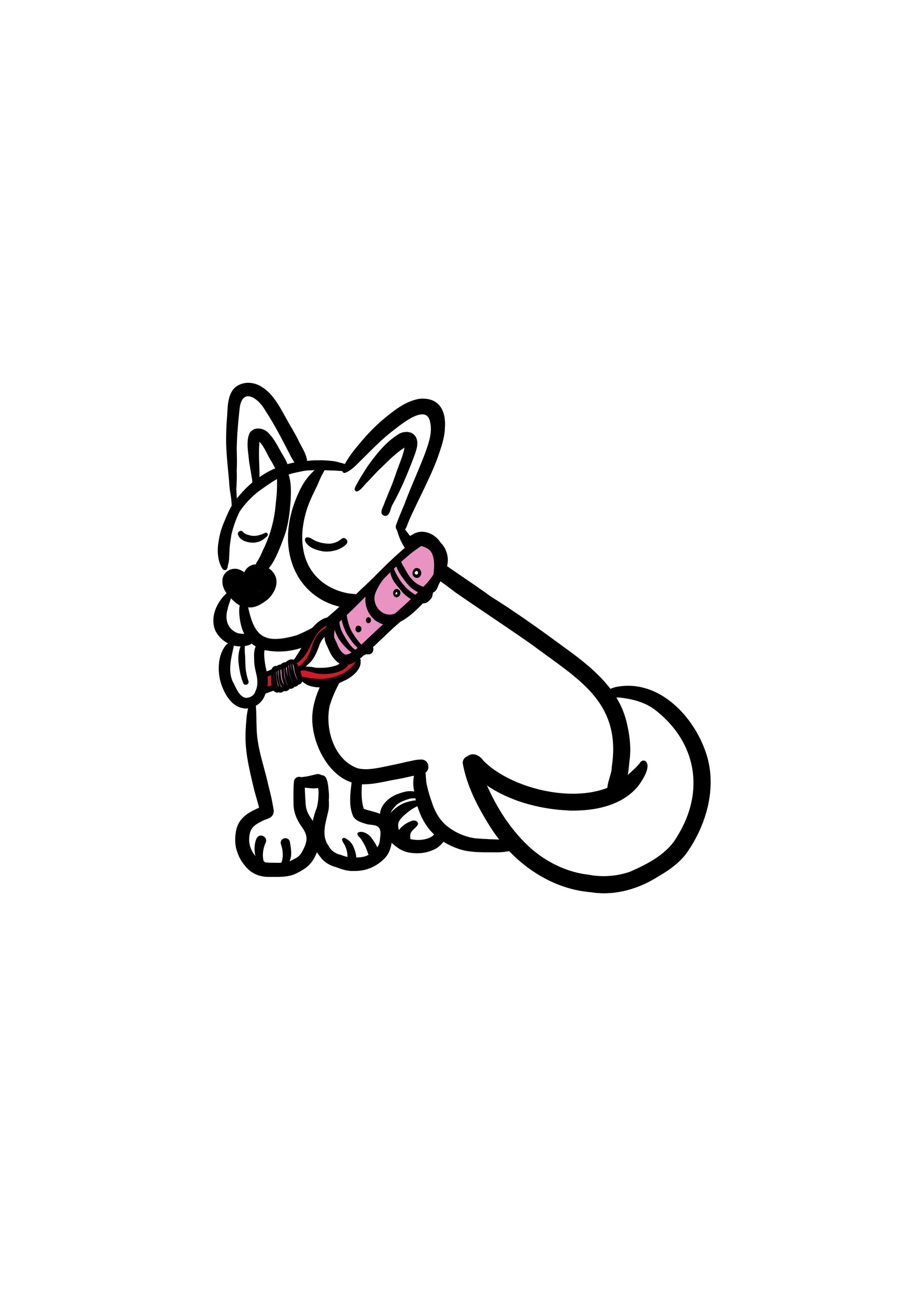 Pli paris accessoires pour chien collier en corde et biothane 