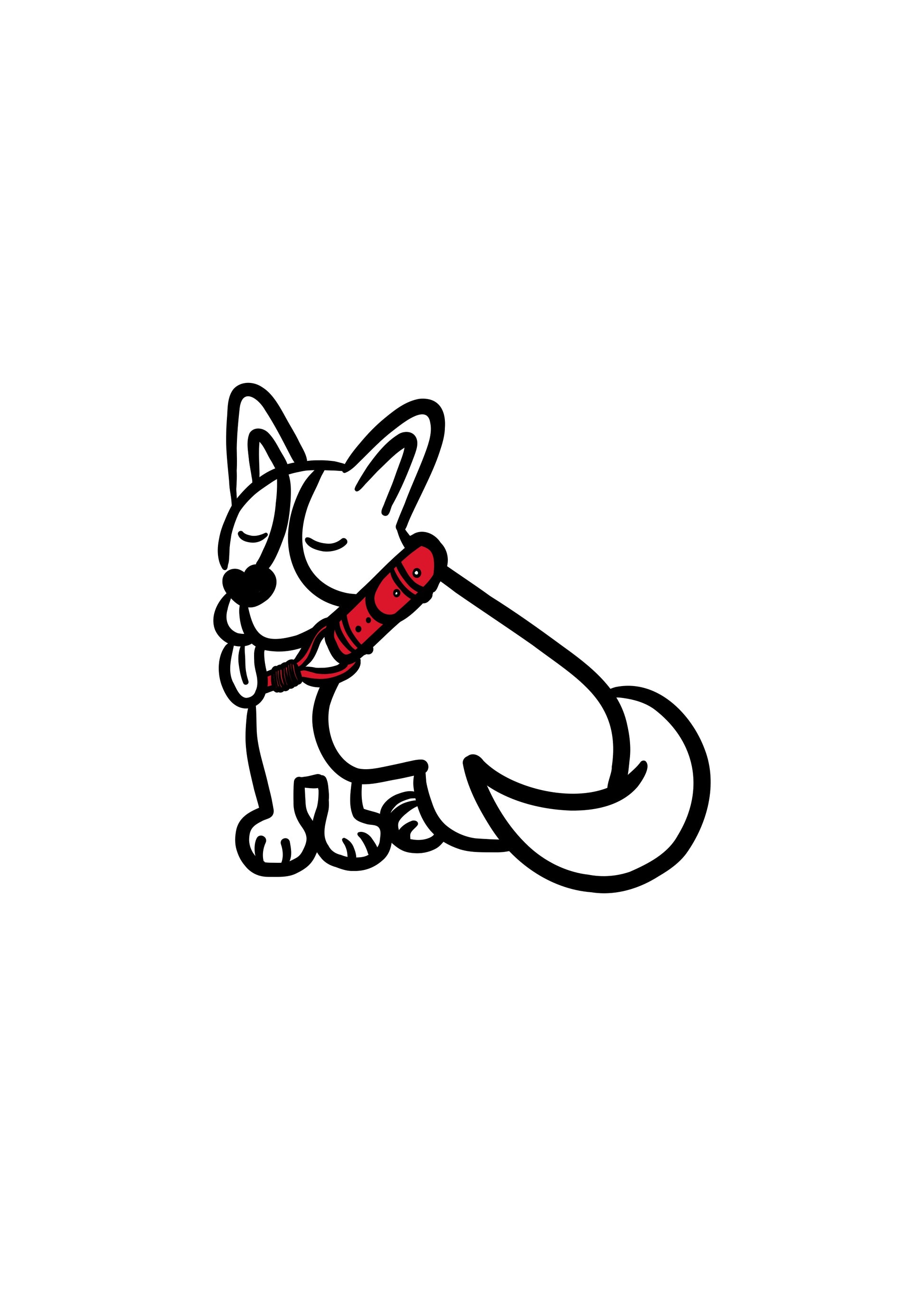 Pli paris accessoires pour chien collier en corde et biothane 
