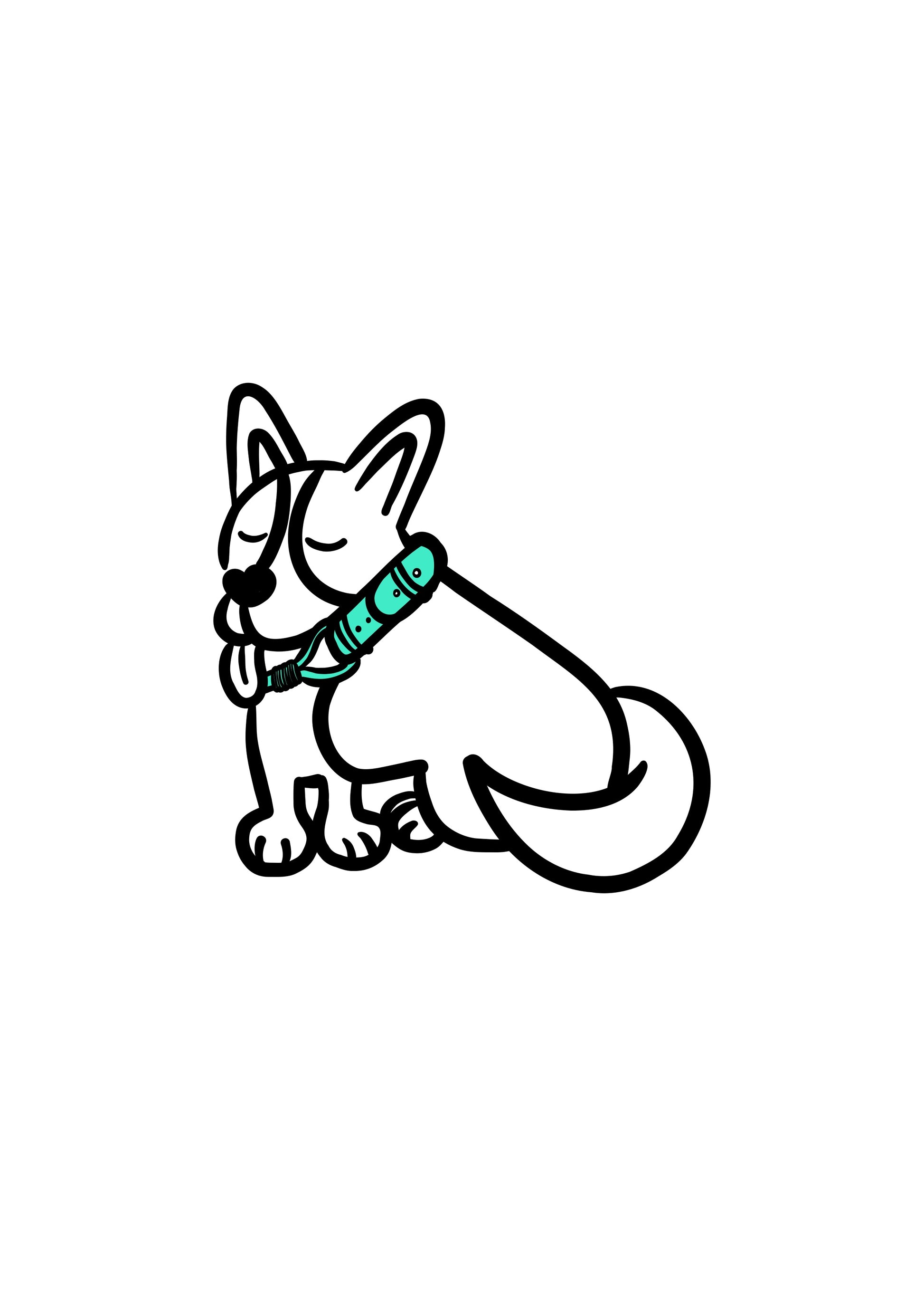 Pli paris accessoires pour chien collier en corde et biothane 