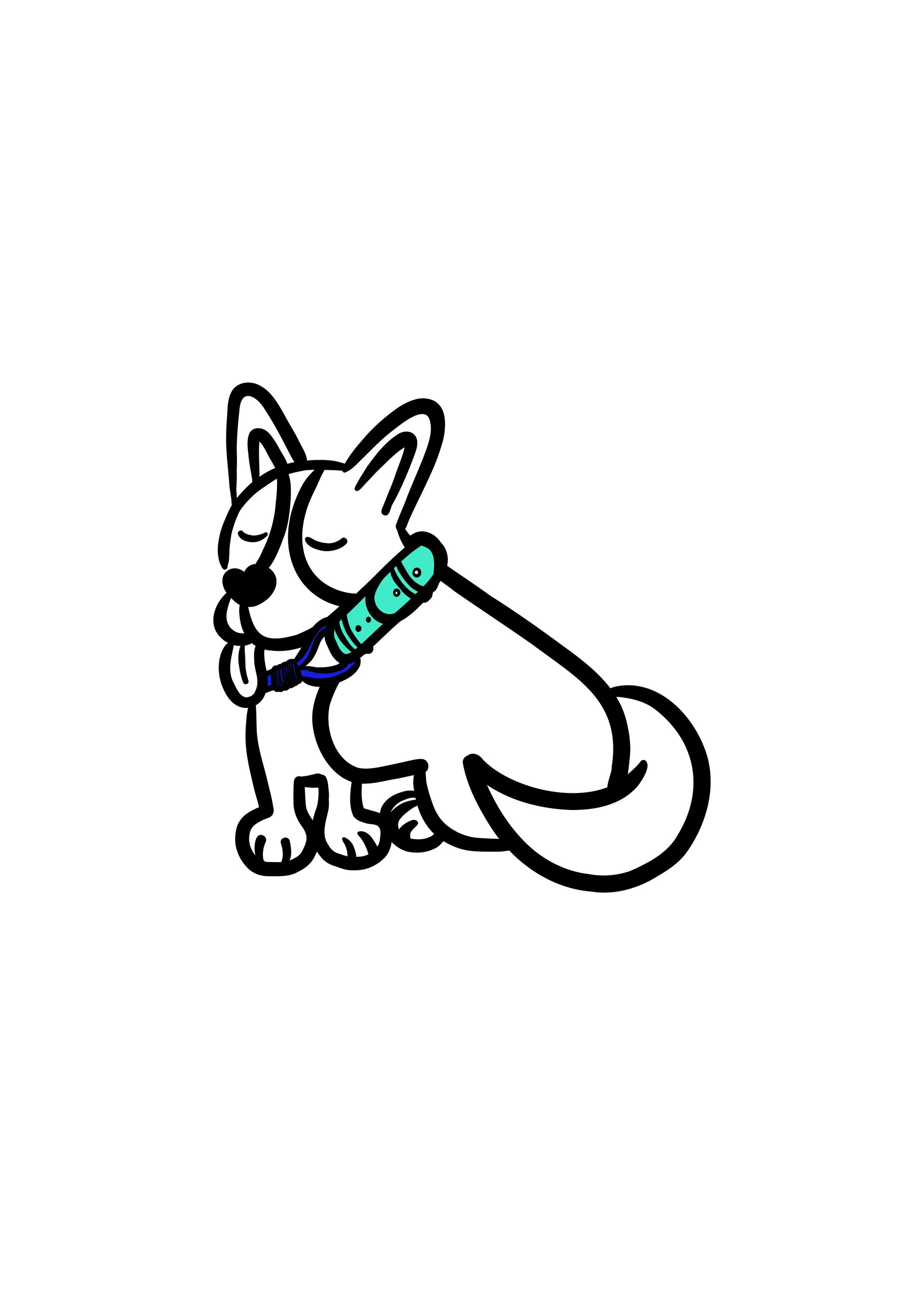Pli paris accessoires pour chien collier en corde et biothane 