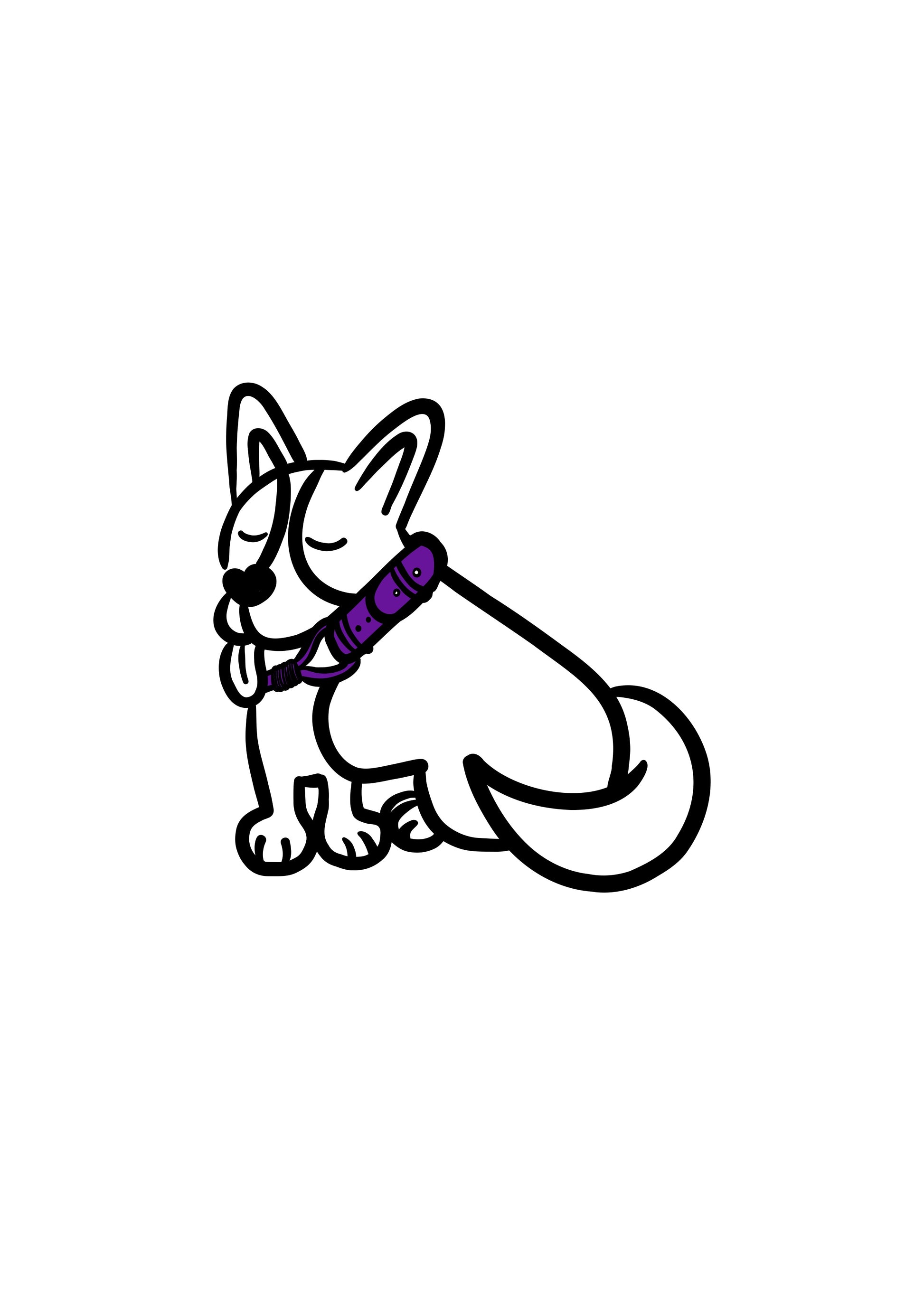 Pli paris accessoires pour chien collier en corde et biothane 
