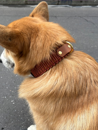 Collier réglable en Biothane et Paracorde PLI Paris