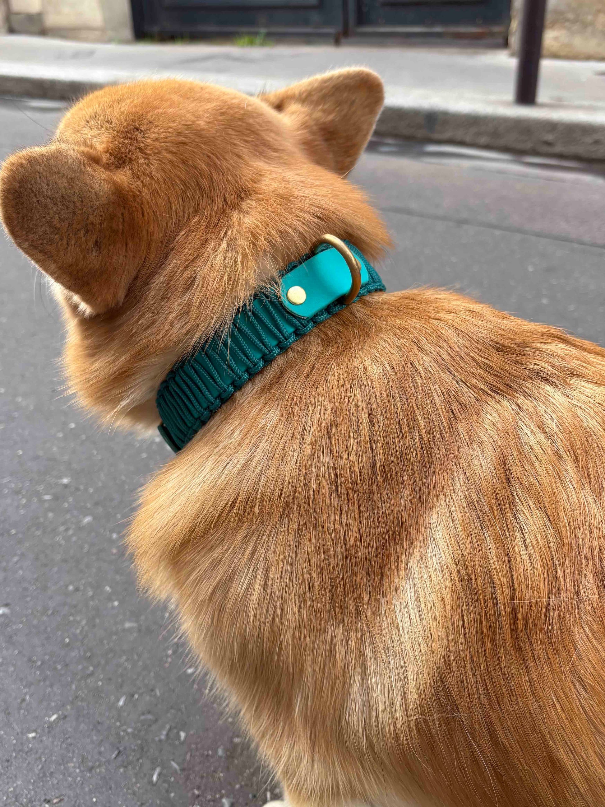 Collier réglable en Biothane et Paracorde PLI Paris