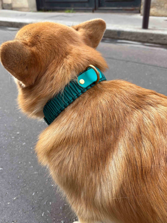 Collier réglable en Biothane et Paracorde PLI Paris