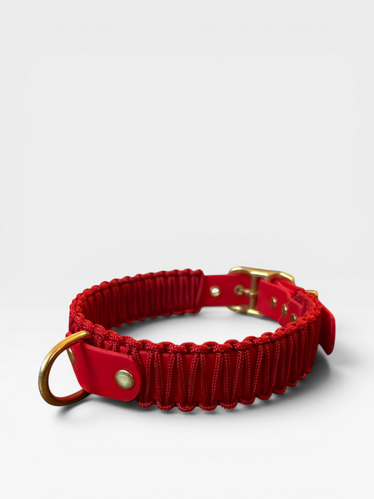 collier réglable en biothane et corde PLI Paris