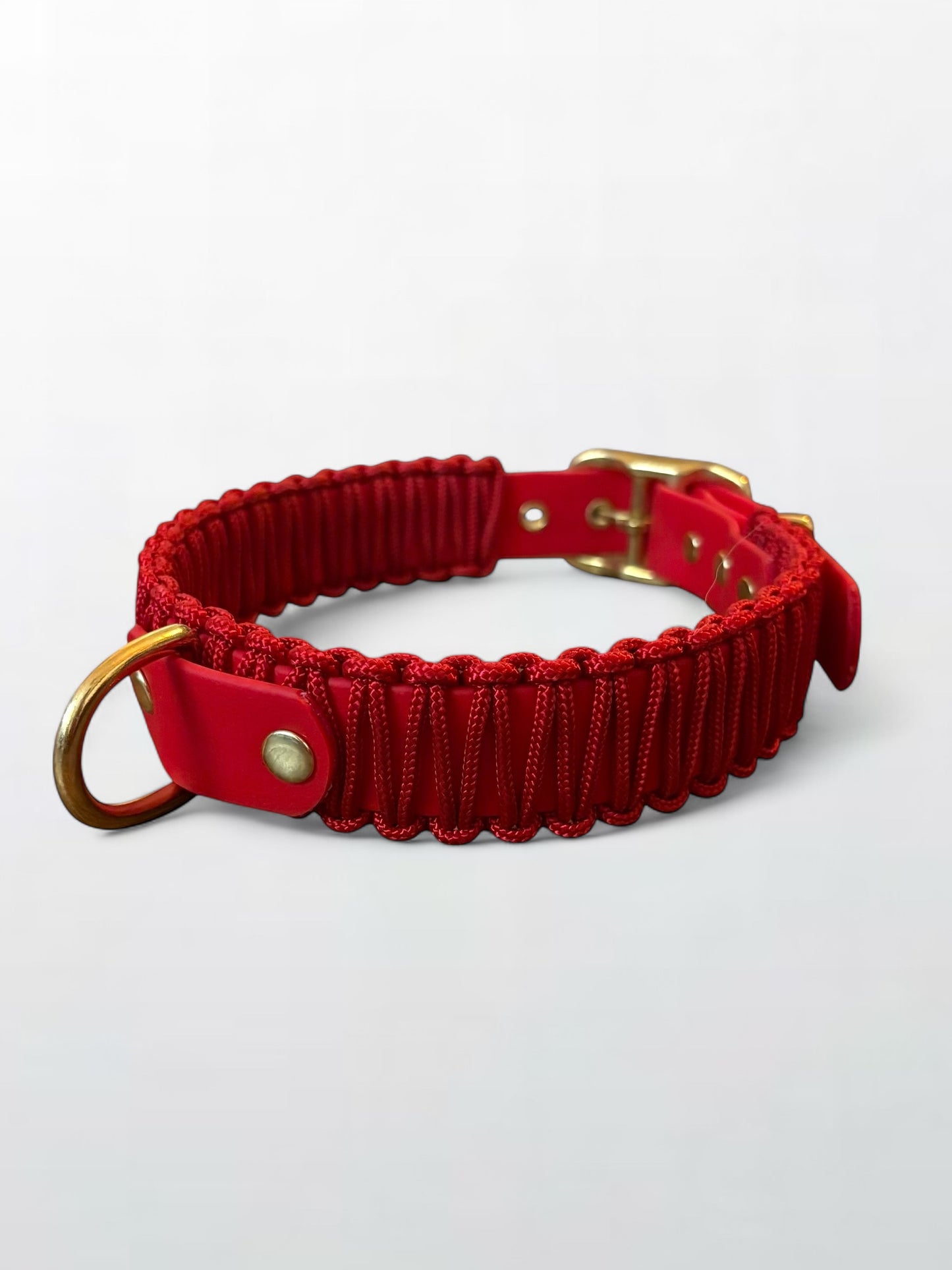 collier réglable en Biothane et corde rouge