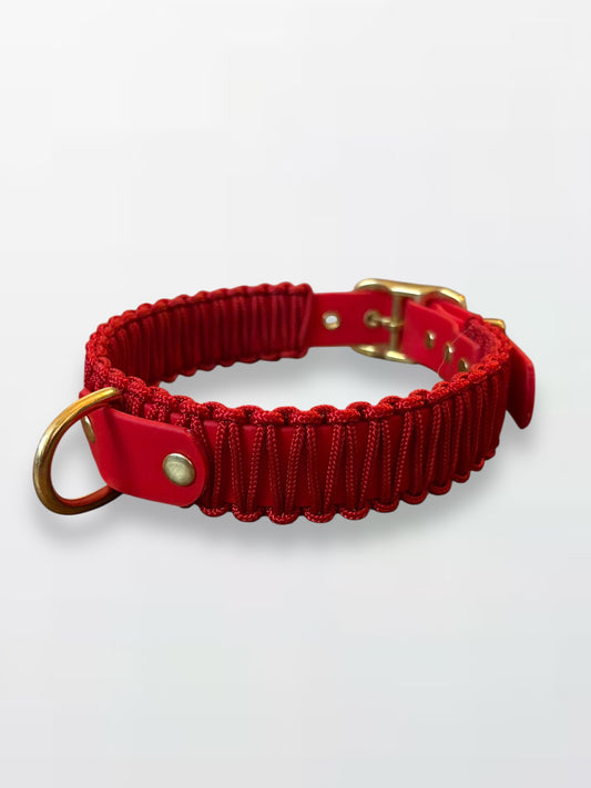 collier réglable en Biothane et corde rouge