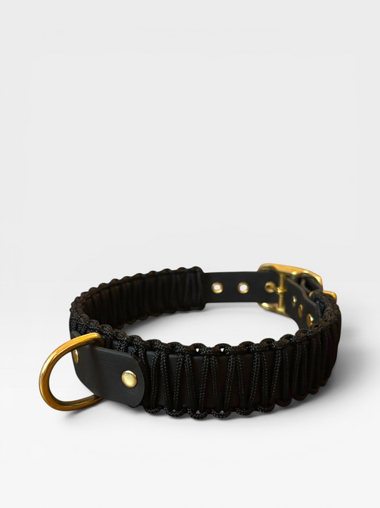 collier réglable en biothane et corde PLI Paris