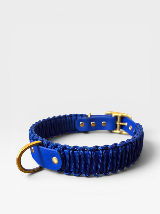 collier réglable en biothane et corde PLI Paris
