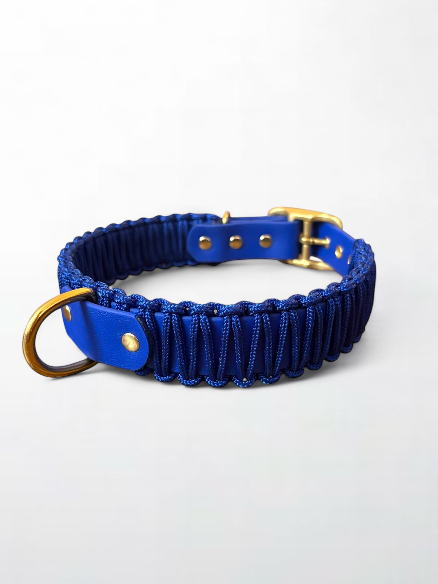 collier réglable en Biothane et corde bleu