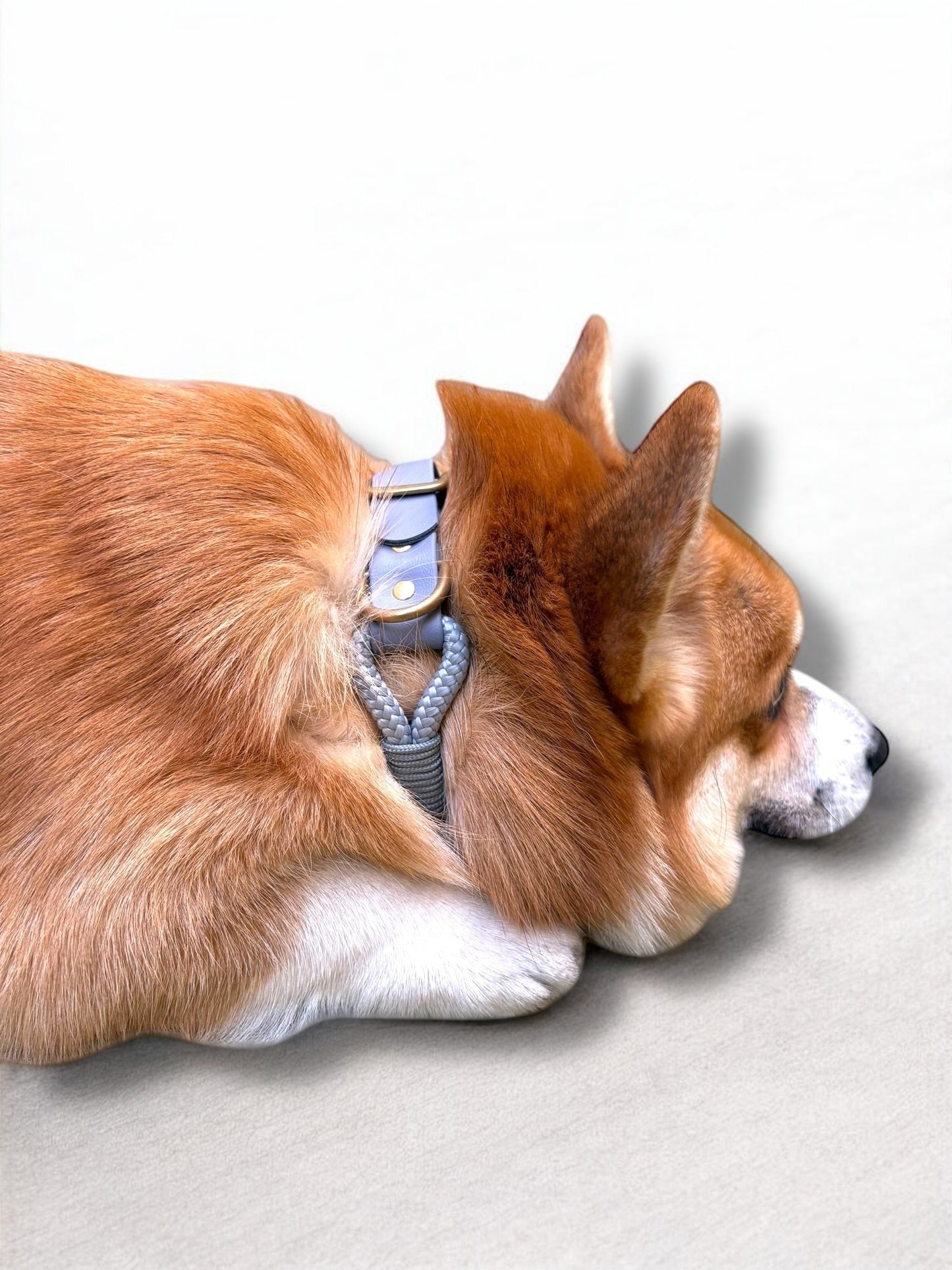 PLI PARIS collier en biothane et corde