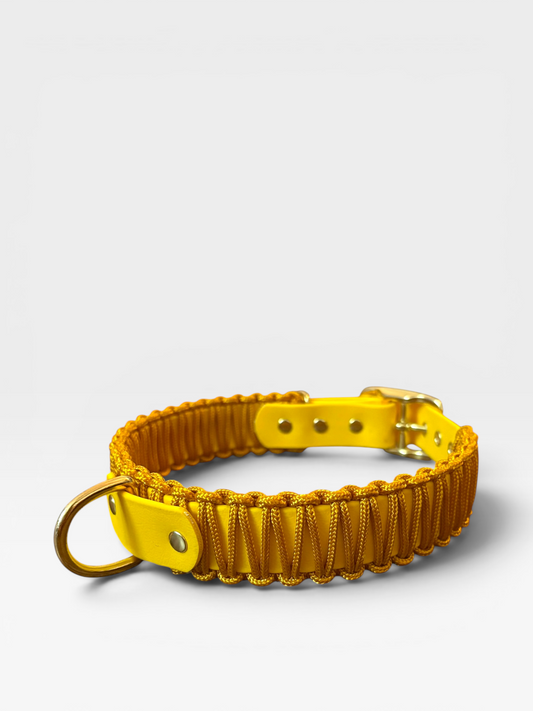 collier réglable en biothane et corde PLI Paris