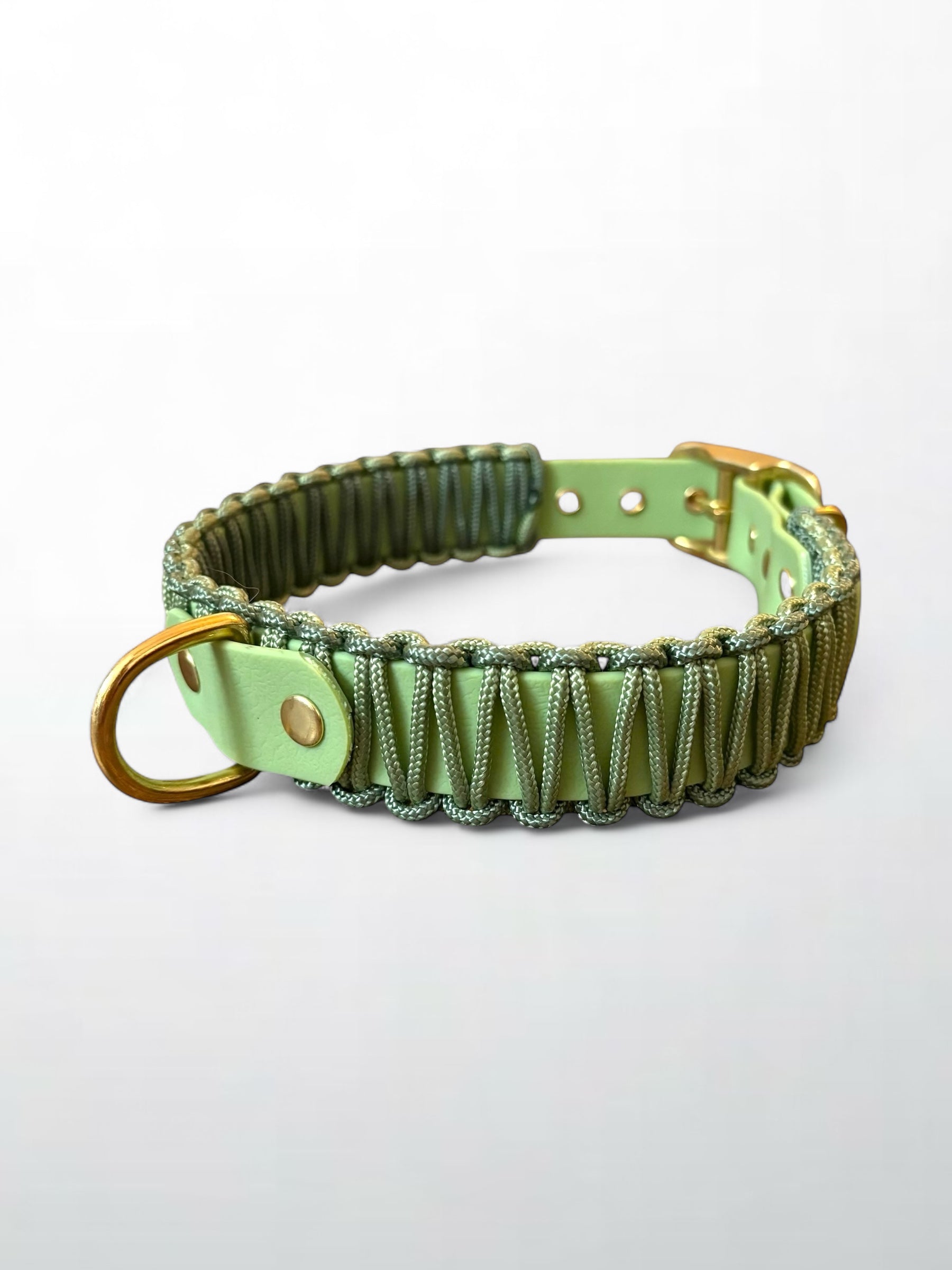 Collier réglable en Biothane et corde vert
