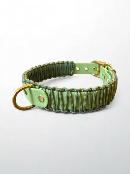 Collier réglable en Biothane et corde vert