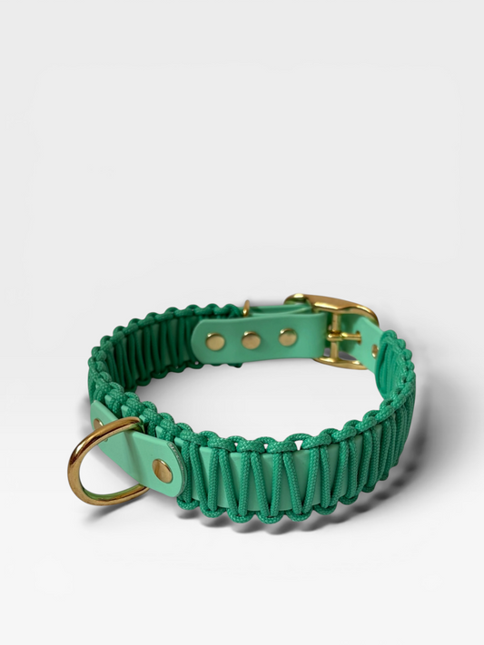 collier réglable en biothane et corde PLI Paris