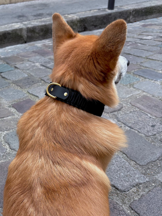 collier réglable en Biothane et corde noir