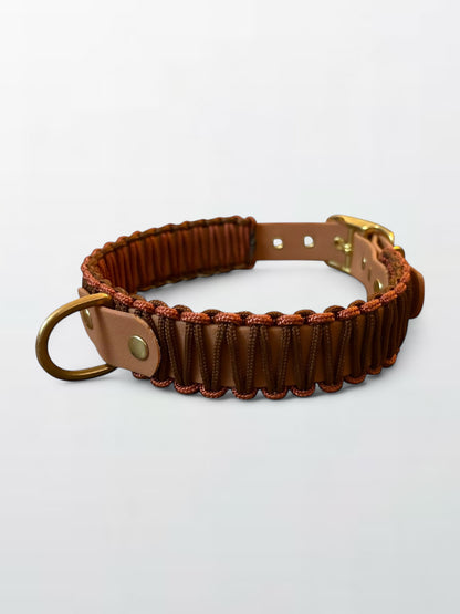 Collier Nuts