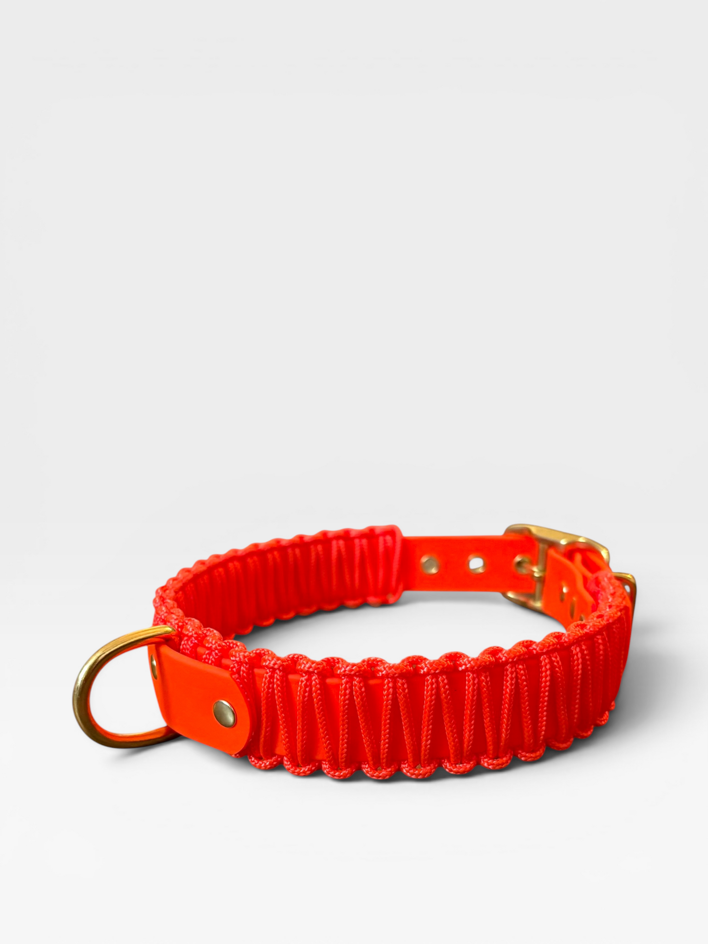 collier réglable en biothane et corde PLI Paris