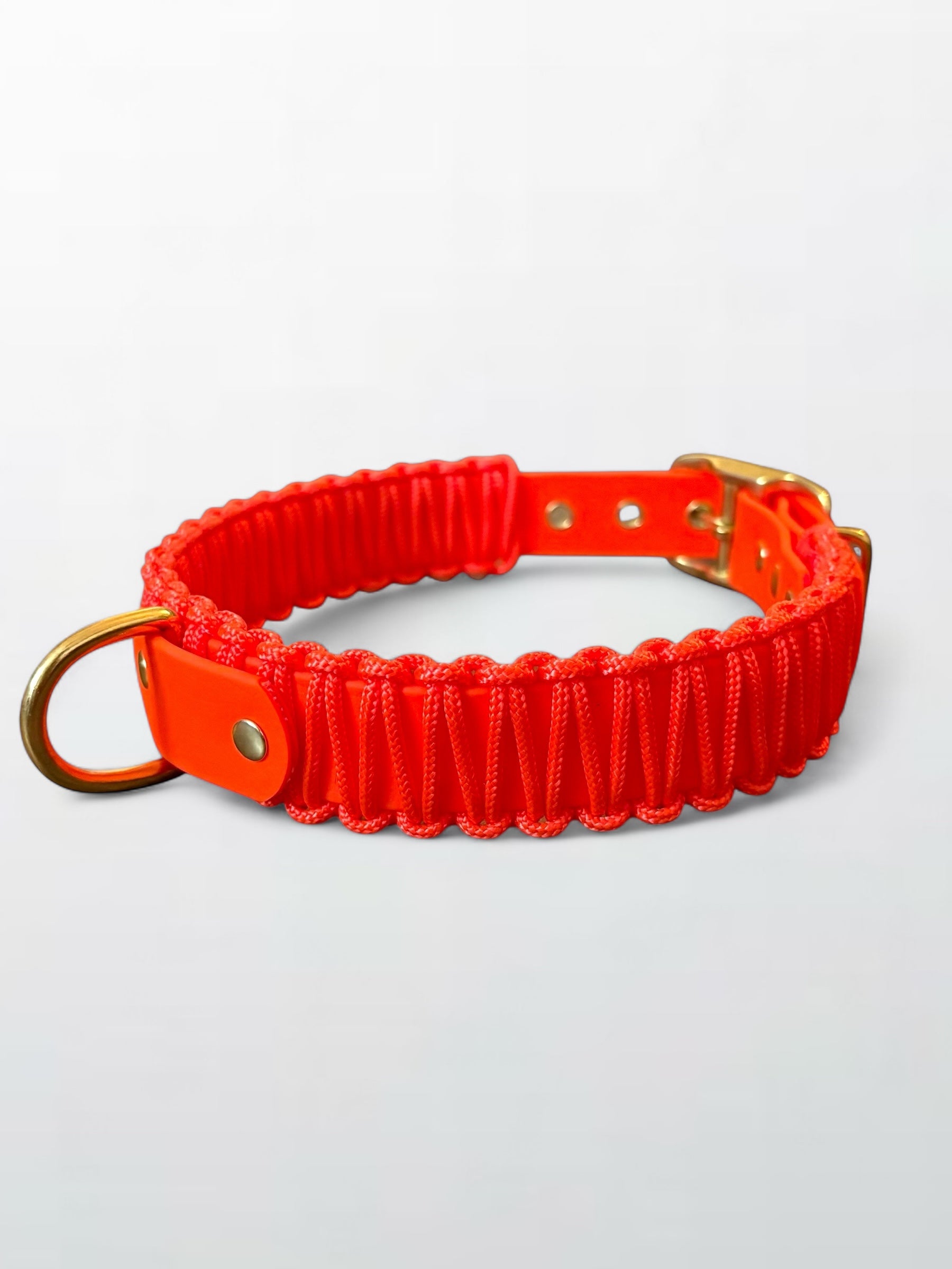 collier réglable en Biothane et corde orange