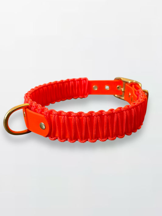 collier réglable en Biothane et corde orange