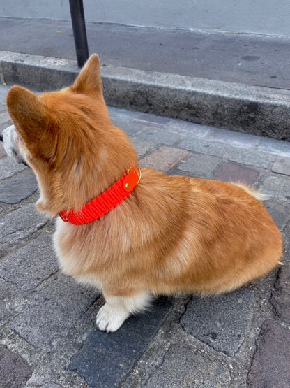 collier réglable en Biothane et corde orange