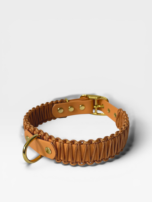 collier réglable en biothane et corde PLI Paris