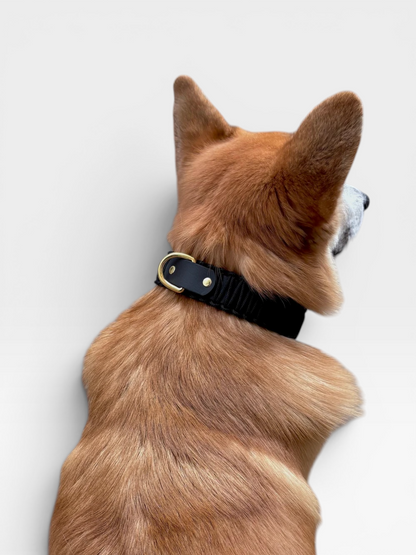 collier réglable en biothane et corde PLI Paris