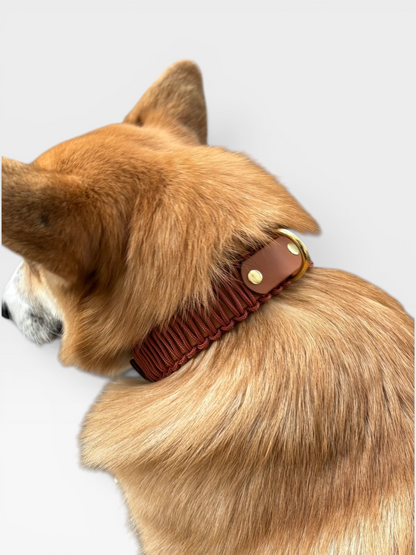 collier réglable en biothane et corde PLI Paris