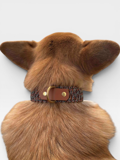collier réglable en biothane et corde PLI Paris